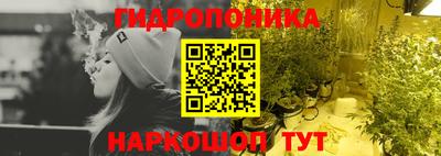 Альфа ПВП Ачхой-Мартан