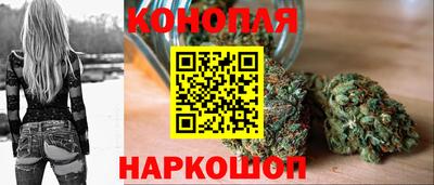 Альфа ПВП Ачхой-Мартан